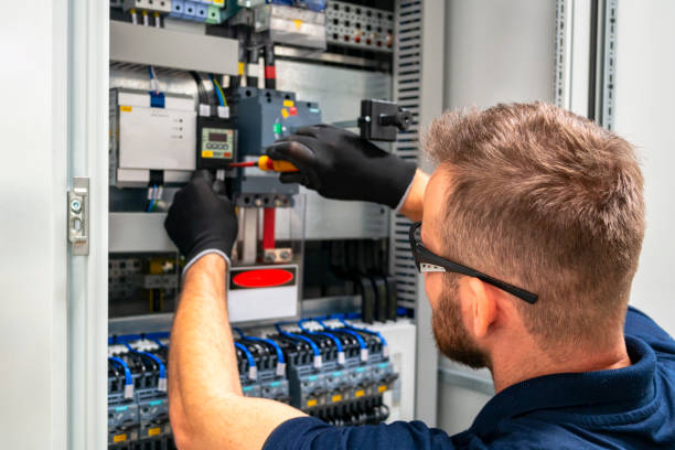 Best Ceiling Fan Installation Electrician  in Lovelock, NV