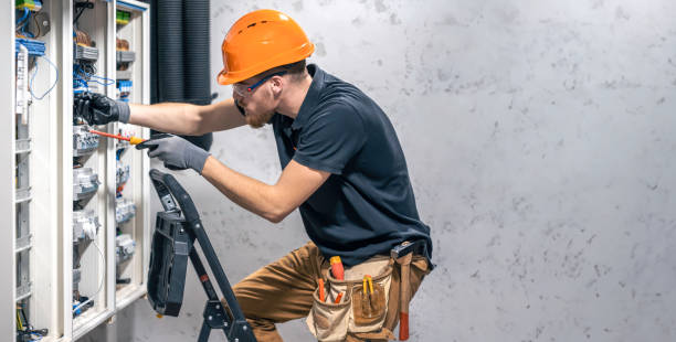 Best Electric Panel Repair  in Lovelock, NV
